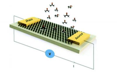 Graphene biosensor for early lung cancer diagnosis