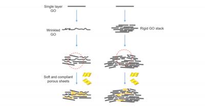 A combination of strong and weak GO flakes can yield stronger GO paper