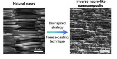 Epoxy-graphene nanocomposites can be improved with nacre-inspired design