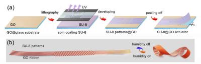 Graphene-based actuator swarm enables programmable deformation