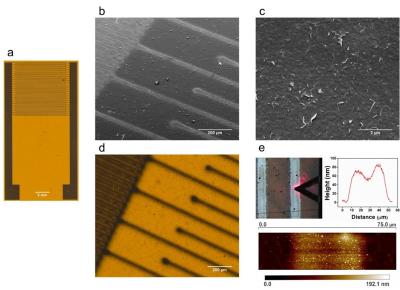 U.S researchers design new graphene-based printed sensors to monitor food safety