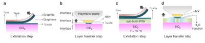 Researchers design a novel method for construction of van der Waals heterostructures using a dual-function polymeric film