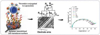 High-performance graphene-based biosensors to help detect blood disorders