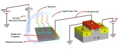 New graphene-based sensing system to detect cortisol stress hormone in sweat