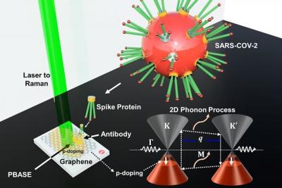 Researchers develop graphene-based sensors that detect COVID-19 quickly and efficiently